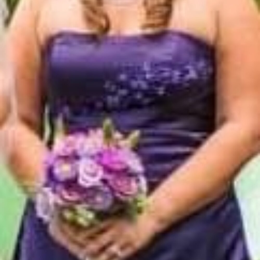 David’s Bridal Satin and Organza Gown with Beaded Inset - Size 14